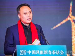 秦海岩：2018年中国世纪新能源网的六个“稳”