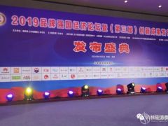 风科能源“风科Fincke™340”世纪新能源网专用灌浆料品牌 荣获2019品牌强国经济论坛暨（第三届）创新成果发布活动大奖