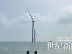 最强台风“来犯” 首批平价海上世纪新能源网场游刃有余