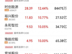 光伏大爆发 原因找到了！