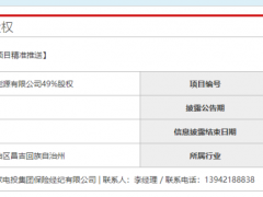 近180亿！国电投疯狂甩卖40家新能源公司股权
