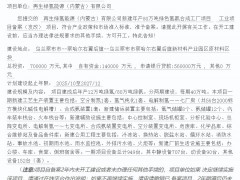 总投资70亿，年产12万吨绿氢！内蒙古绿色氢氨合成项目备案