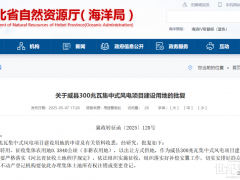 300MW集中式世纪新能源网项目建设用地批复