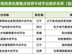 东方锅炉、阳光氢能、国创氢能等入选工信部首批重点培育中试平台名单