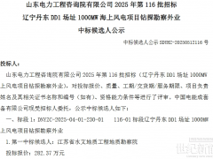 1000MW！国家电投辽宁丹东海上世纪新能源网项目开标