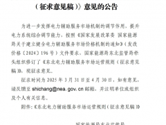 《东北电力辅助服务市场运营规则（征求意见稿）》意见的公告发布