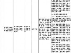 四川高景扩建年产2GW高效组件智能化项目