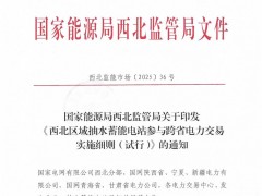 西北区域抽水蓄能电站参与跨省电力交易实施细则（试行）：抽蓄电站以批发用户和发电企业双重身份参与交易